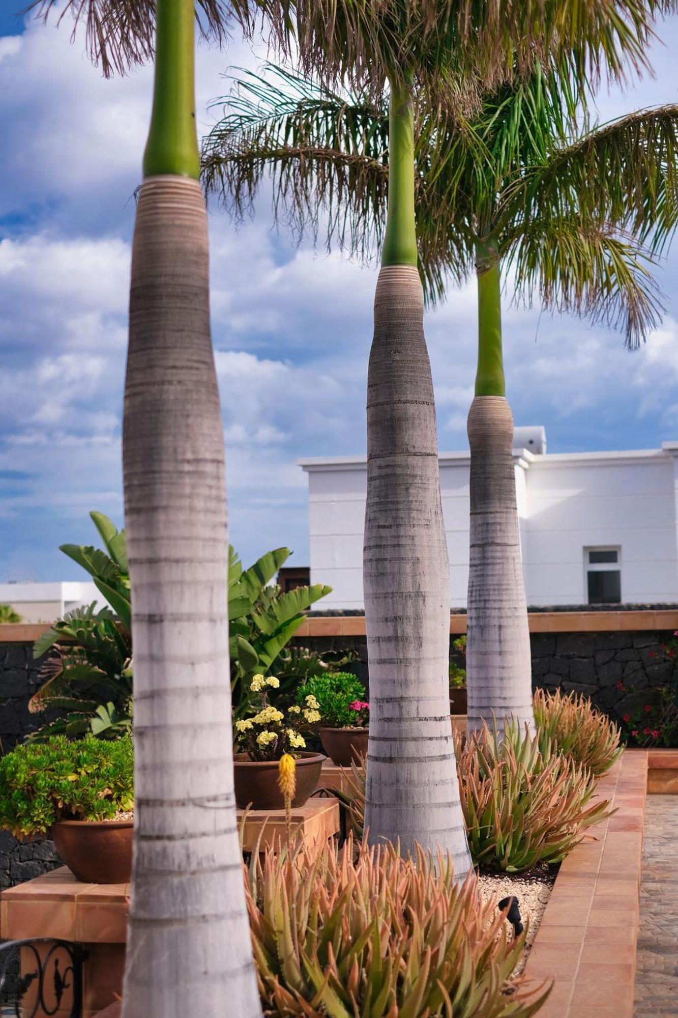 Casa Mia Pension Puerto Calero Buitenkant foto